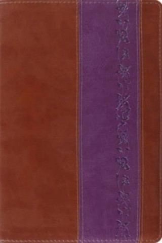 Kniha ESV Study Bible 