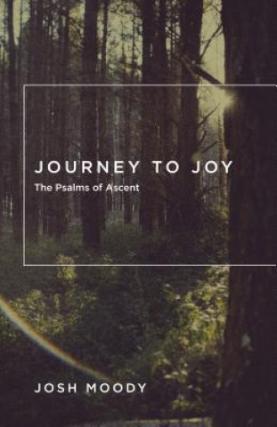 Könyv Journey to Joy Josh Moody