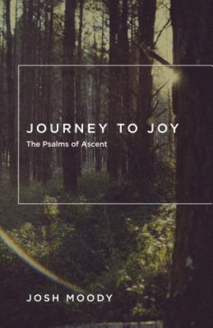 Kniha Journey to Joy Josh Moody