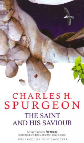 Könyv Saint & His Saviour C.H. Spurgeon