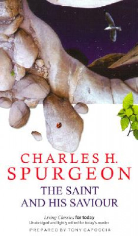 Kniha Saint & His Saviour C.H. Spurgeon