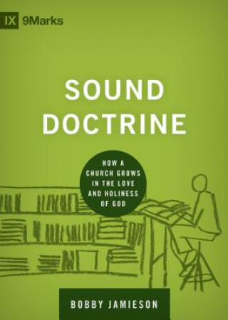 Kniha Sound Doctrine Bobby Jamieson