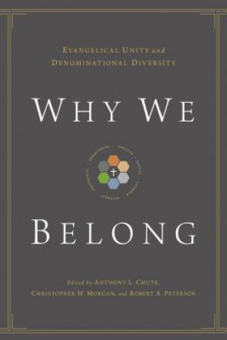 Kniha Why We Belong Anthony L. Chute