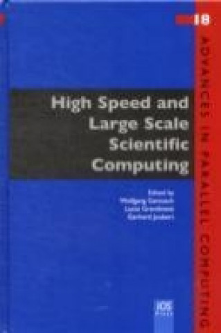 Könyv HIGH SPEED & LARGE SCALE SCIENTIFIC COMP W. GENTZSCH