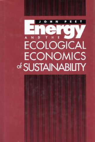 Kniha Energy and the Ecological Economics of Sustainability John Peet