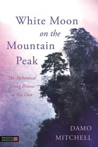 Kniha White Moon on the Mountain Peak MITCHELL DAMO