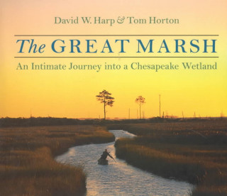 Buch Great Marsh Tom Horton