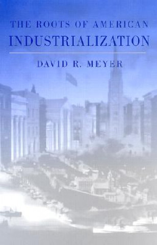 Könyv Roots of American Industrialization David R. Meyer