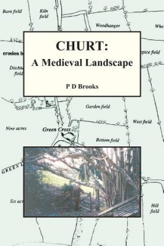Kniha Churt: A Medieval Landscape Philip Brooks