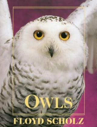 Book Owls Floyd Scholz