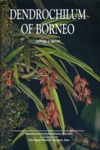 Könyv Dendrochilum of Borneo J. J. Wood