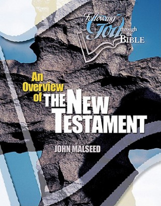 Kniha Overview of the New Testament John Malseed