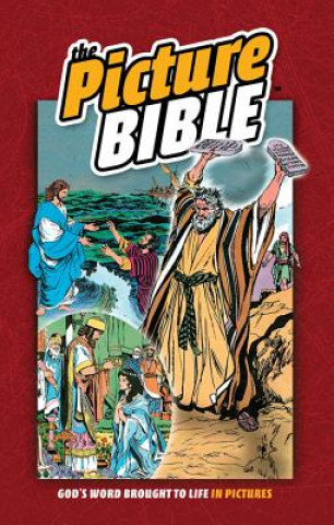 Книга Picture Bible Iva Hoth