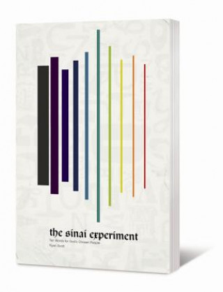 Kniha Sinai Experiment Ryan Scott