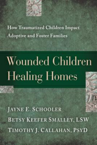 Kniha Wounded Children, Healing Homes Timothy J Callahan