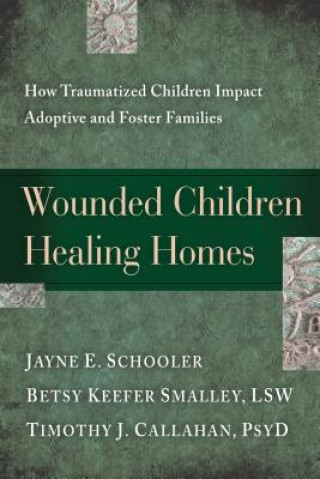 Książka Wounded Children, Healing Homes Timothy J Callahan