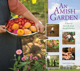 Carte Amish Garden Laura Anne Lapp