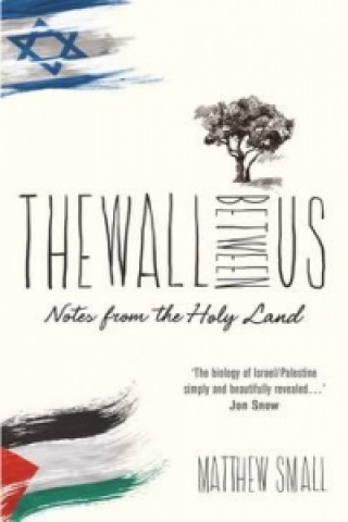 Kniha Wall Between Us Matthew Small