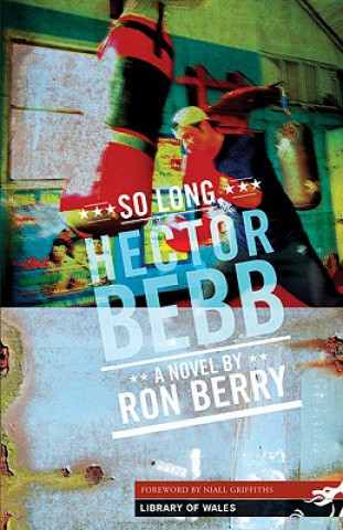 Kniha So Long Hector Bebb Ron Berry