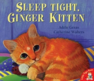 Buch Sleep Tight, Ginger Kitten Adele Geras