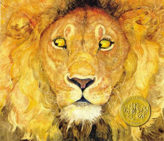 Knjiga Lion & the Mouse Jerry Pinkney