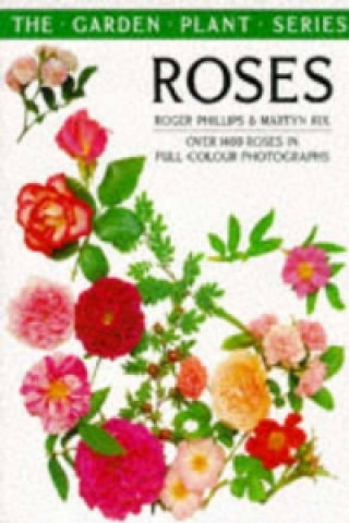 Carte Roses Roger Phillips
