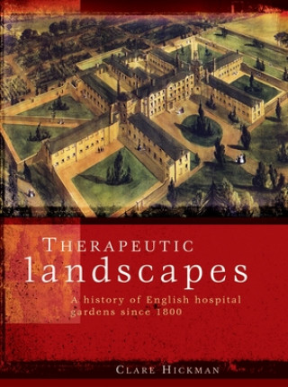 Книга Therapeutic Landscapes Clare Hickman