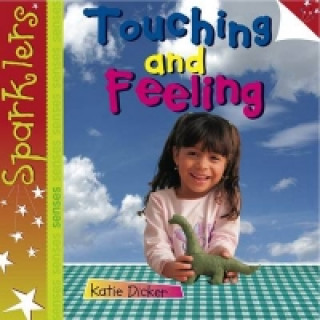 Könyv Touching and Feeling Katie Dicker