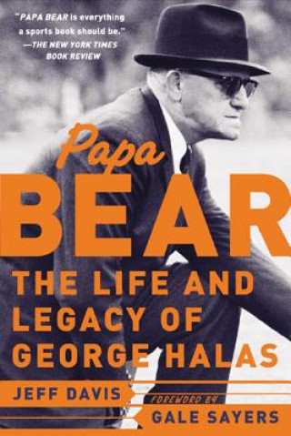 Kniha Papa Bear Jeff Davis