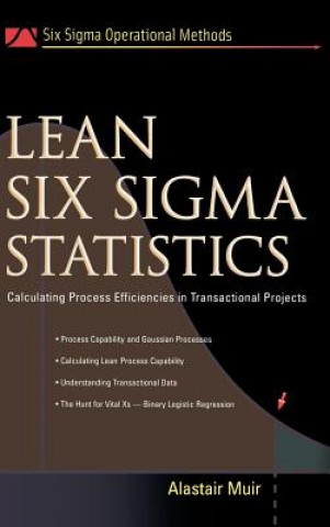 Książka Lean Six Sigma Statistics Alastair Muir