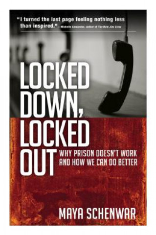 Kniha Locked Down, Locked Out: Why Prison Doesn't Work and How We Can Do Better Maya Schenwar