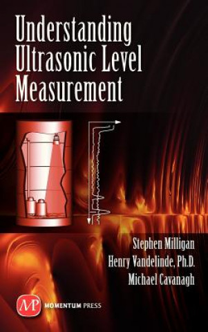 Könyv Understanding Ultrasonic Level Measurement Michael Cavanagh
