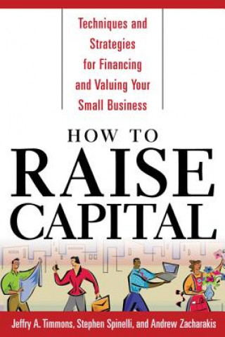 Carte How to Raise Capital Andrew Zacharakis