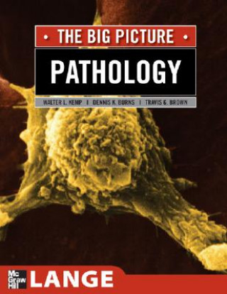 Könyv Pathology: The Big Picture Travis G. Brown