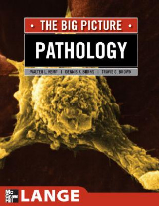 Kniha Pathology: The Big Picture Travis G. Brown