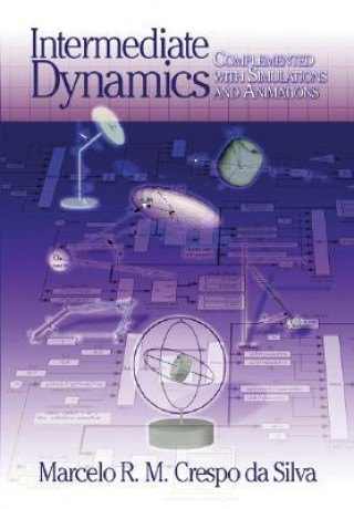 Carte Intermediate Dynamics for Engineers Da Silva