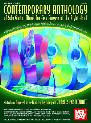 Buch Contemporary Anthology of Solo Guitar Music Charles Postlewate