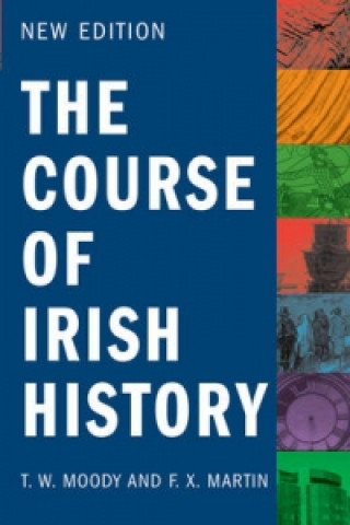 Kniha Course of Irish History T. W. Moody