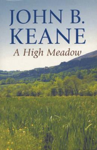 Kniha High Meadow John B. Keane