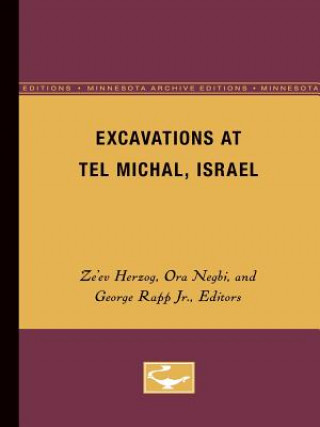 Livre Excavations at Tel Michal, Israel 