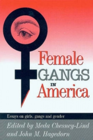 Książka Female Gangs in America 