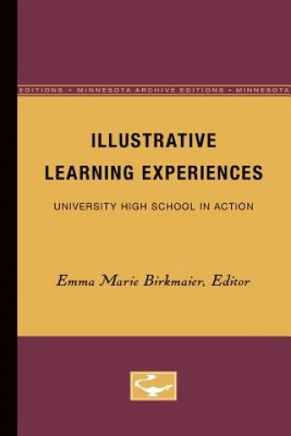 Книга Illustrative Learning Experiences 