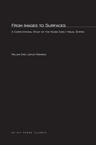 Kniha From Images to Surfaces William Eric Leifur Grimson