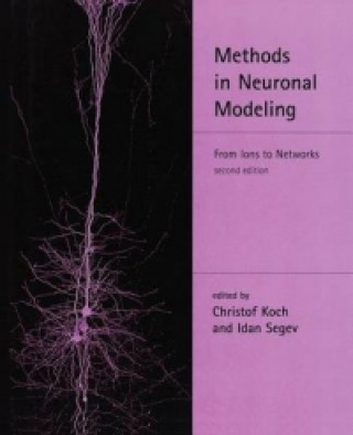 Książka Methods in Neuronal Modeling 