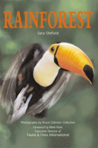 Könyv Rainforest (USA) S Oldfield