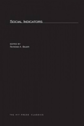 Buch Social Indicators 