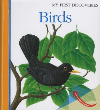 Könyv Birds Rene Mettler