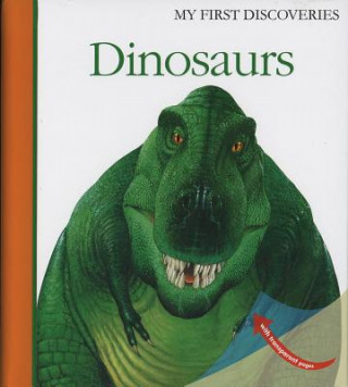 Knjiga Dinosaurs Sarah Matthews