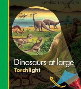 Kniha Dinosaurs at Large Donald Grant