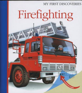 Buch Firefighting Daniel Moignot